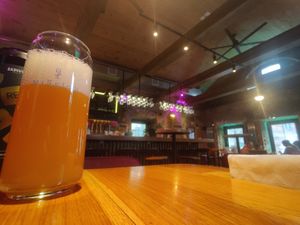 Great space, local IPA at Mission in Moscow