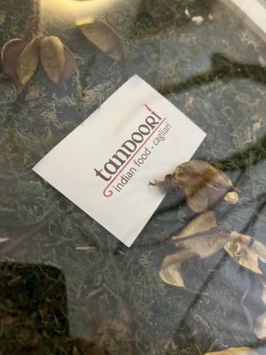   at Tandoori in Cagliari