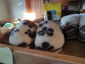 Cosy at An Lar in Dunlavin