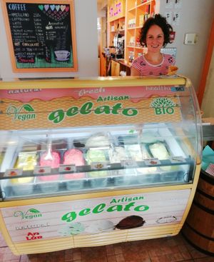 Artisan Irish Gelato - vegan too! 😊  at An Lar in Dunlavin