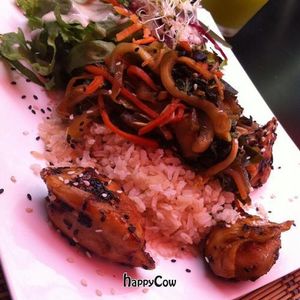 Vegan wan tan with whole wheat rice. at Mantras Veggie Cafe and Tea House in San Jose