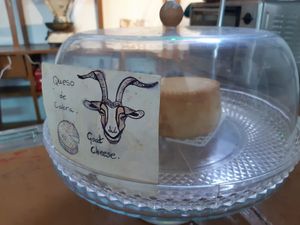 Queso de cabra at La Garza in La Palma