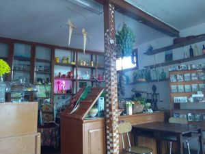 the bar at La Garza in La Palma