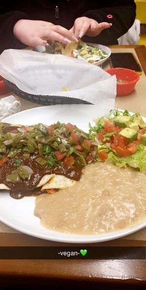 Vegan Mole Enchiladas with tofu chorizo inside!  at Sabor de mi Tierra Mexican Grill in Stone Park