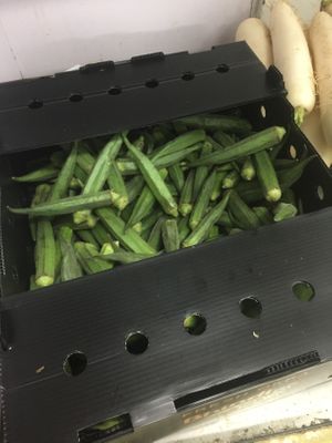 They have a fantastic selection of veggies like fresh okra at India Rice N Spice in Fort Collins