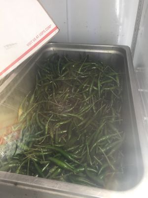 Did someone said spicy chiles? at India Rice N Spice in Fort Collins