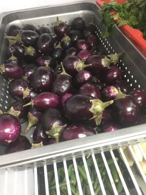 Their fresh babu eggplants are PERFECT for so many fun dishes! at India Rice N Spice in Fort Collins