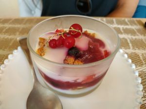 Yogurt de frutos rojos at Raiz in Aveiro