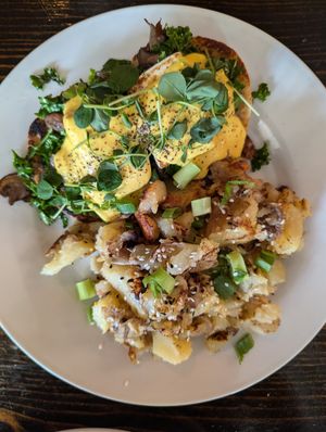 Mushroom Benny at Revelstoke in Peterborough