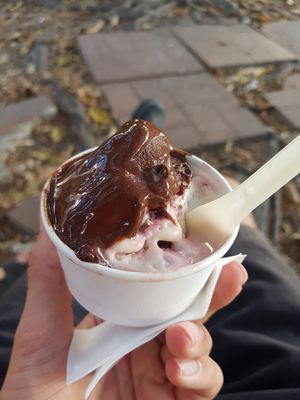  at Gelateria Peter Pan in Cagliari