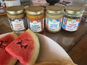   at Saifana Organic Farm in 