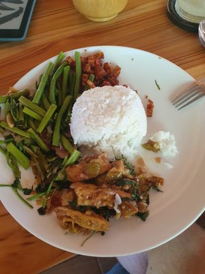  at Saifana Organic Farm in 