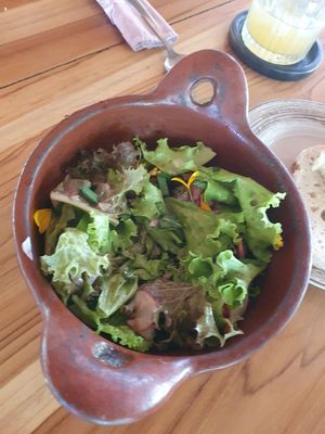  at Saifana Organic Farm in 