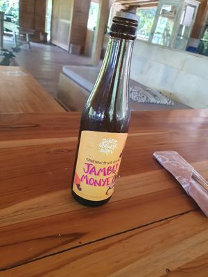  at Saifana Organic Farm in 