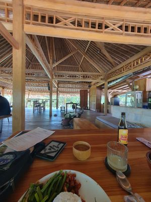  at Saifana Organic Farm in 