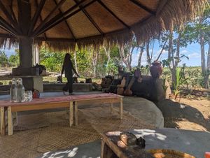  at Saifana Organic Farm in 