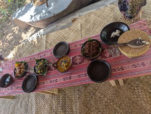  at Saifana Organic Farm in 