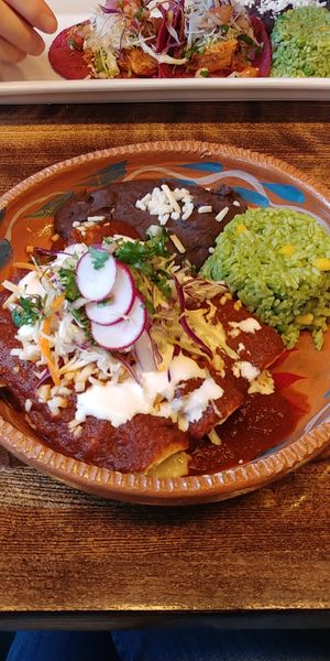 Vegan enchiladas rojas at Senoritas Cantina in Chicago