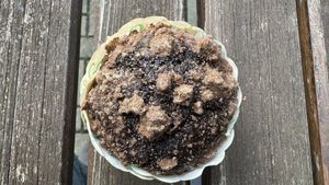   at Galerie in Dortmund