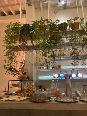 Plants  at HUMM Restaurant in Antwerpen
