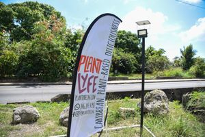  at Plant Lyfe in Saint Peter