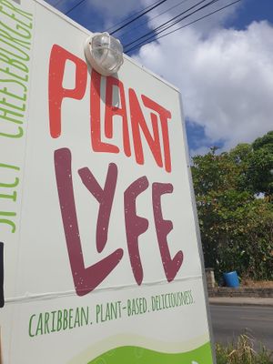 Truck outside at Plant Lyfe in Saint Peter