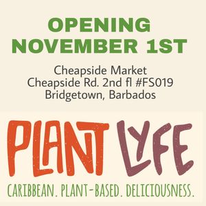 Opening day Nov 1st 2019 at Plant Lyfe in Saint Peter