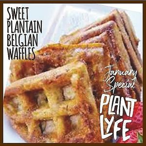 Sweet Plantain Belgian Waffle.
January Saturday Special. 
One Belgian Waffle with Tropical Fruit Salad.  at Plant Lyfe in Saint Peter