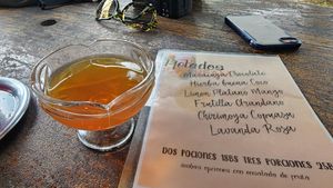 amazing kombucha at Villa Bonita in Coroico