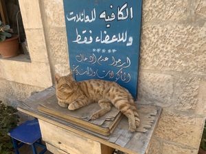   at Kawon once upon a time in Madaba