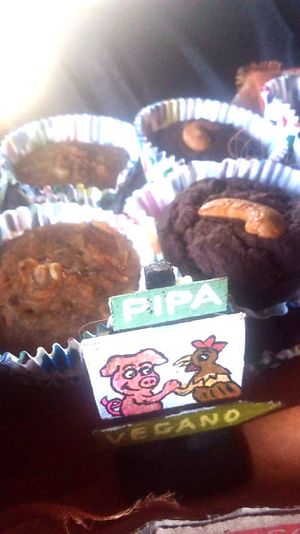 tortas fit at Baobá Rango Vegano  in Tibau Do Sul