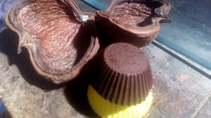 chocolate vegano 100% cacau at Baobá Rango Vegano  in Tibau Do Sul