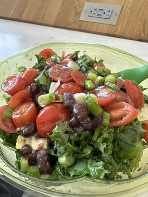   at SEA - Evergreens in Seattle