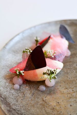 cheese cake with rhubarb at White Rabbit - Biały Królik in Gdynia