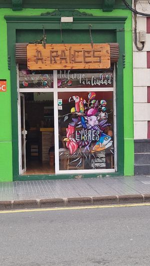 Canarian Vegan Vibes at A Raices in Gran Canaria