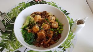 Poke bowl at Circle Cafe - Al Raha Gardens in Abu Dhabi