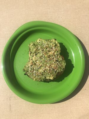 Avocado toast at Foster the Plant Cafe in Potsdam