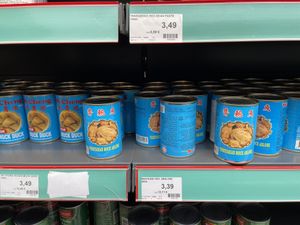 Vegan Duck  at Tains in Dusseldorf