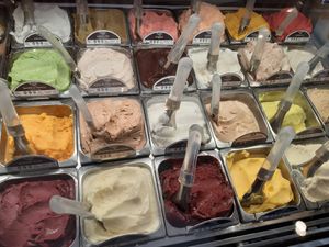 All vegan flavors at Gelateria Del Biondo in Brescia