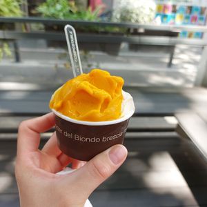Sea buckthorn (olivello spinoso), cedar (cedro) and macadamia nut (noci di Macadamia) ice creams at Gelateria Del Biondo in Brescia