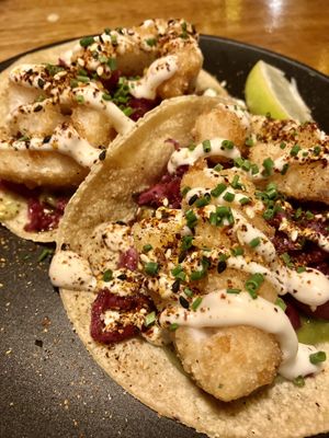 Calamari taco  at Calle Rey in Newtown