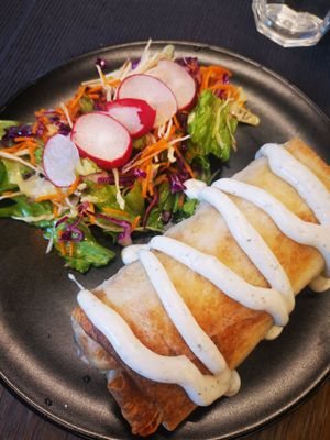 Burrito and salad at VEG in Split