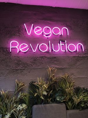 inside at Space Burger in Vienna