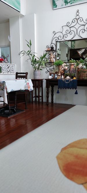  at Shewe Vegan & Vegetarian Cafe in Chiang Mai