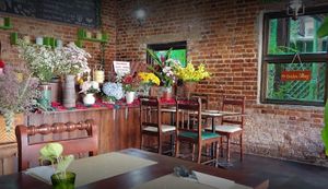 Inside at Shewe Vegan & Vegetarian Cafe in Chiang Mai