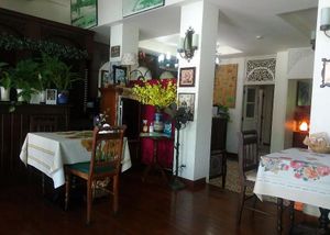 Inside at Shewe Vegan & Vegetarian Cafe in Chiang Mai