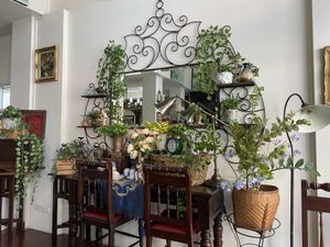 interior   at Shewe Vegan & Vegetarian Cafe in Chiang Mai