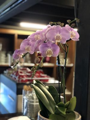 Atmosphere  at The Kitchen at Yenakat in Bangkok