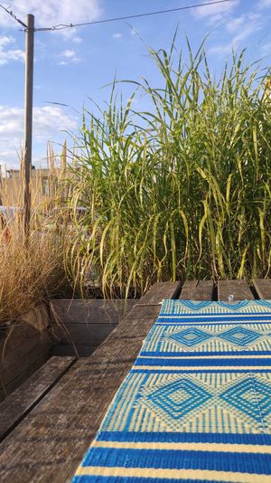  at Toon's in Hengelo