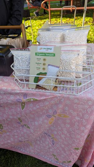 Tempeh for sale at Vegan Night Market at Indo Tempeh House in Christchurch